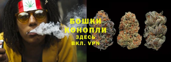 PSILOCYBIN Нягань