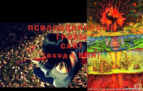 PSILOCYBIN Нягань